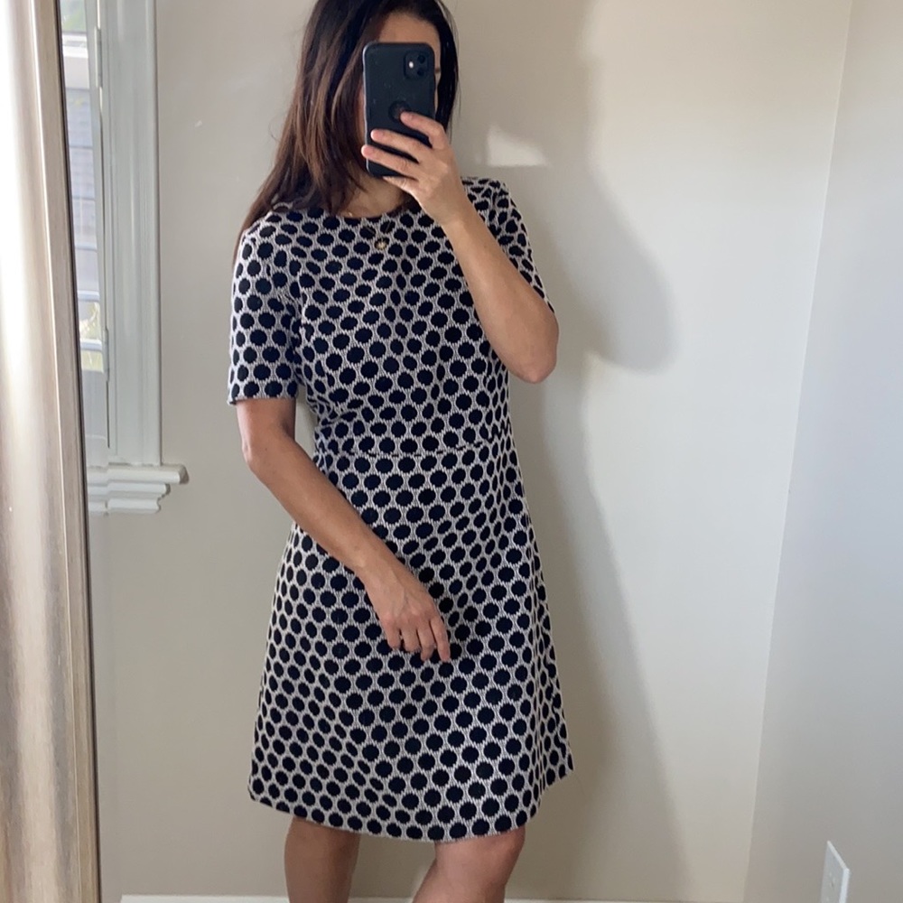 Ann Taylor texture print dress